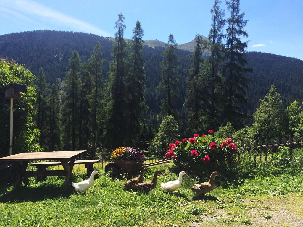 Bnb Guesthouse Lusi Frauenkirch Exterior photo